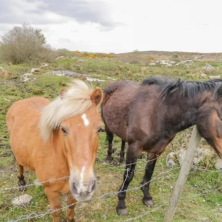 Mary Kate's Prázdninový dům