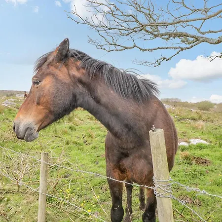 Prázdninový dům Mary Kate's